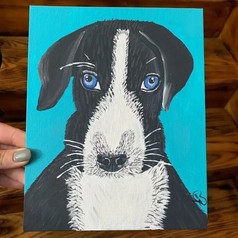 Blue Eyed Puppy
